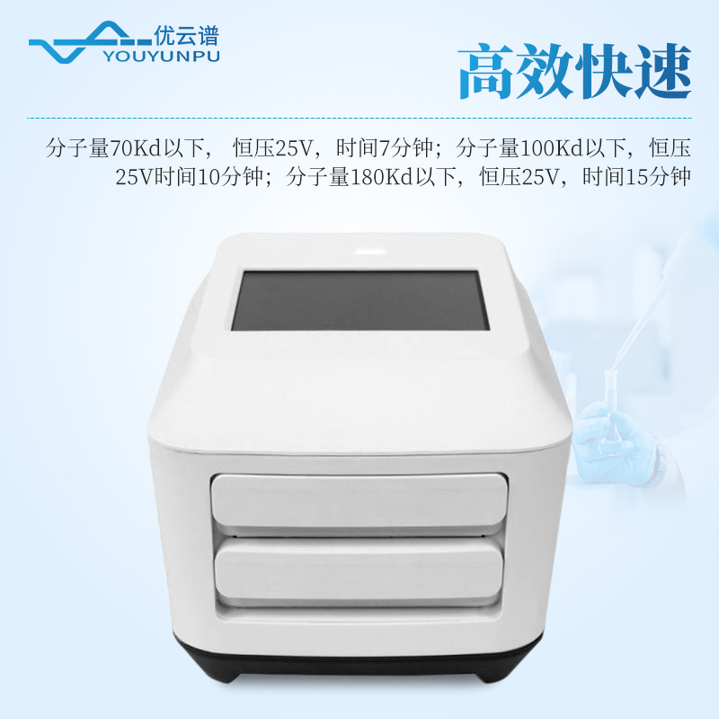 全能蛋白轉印系統